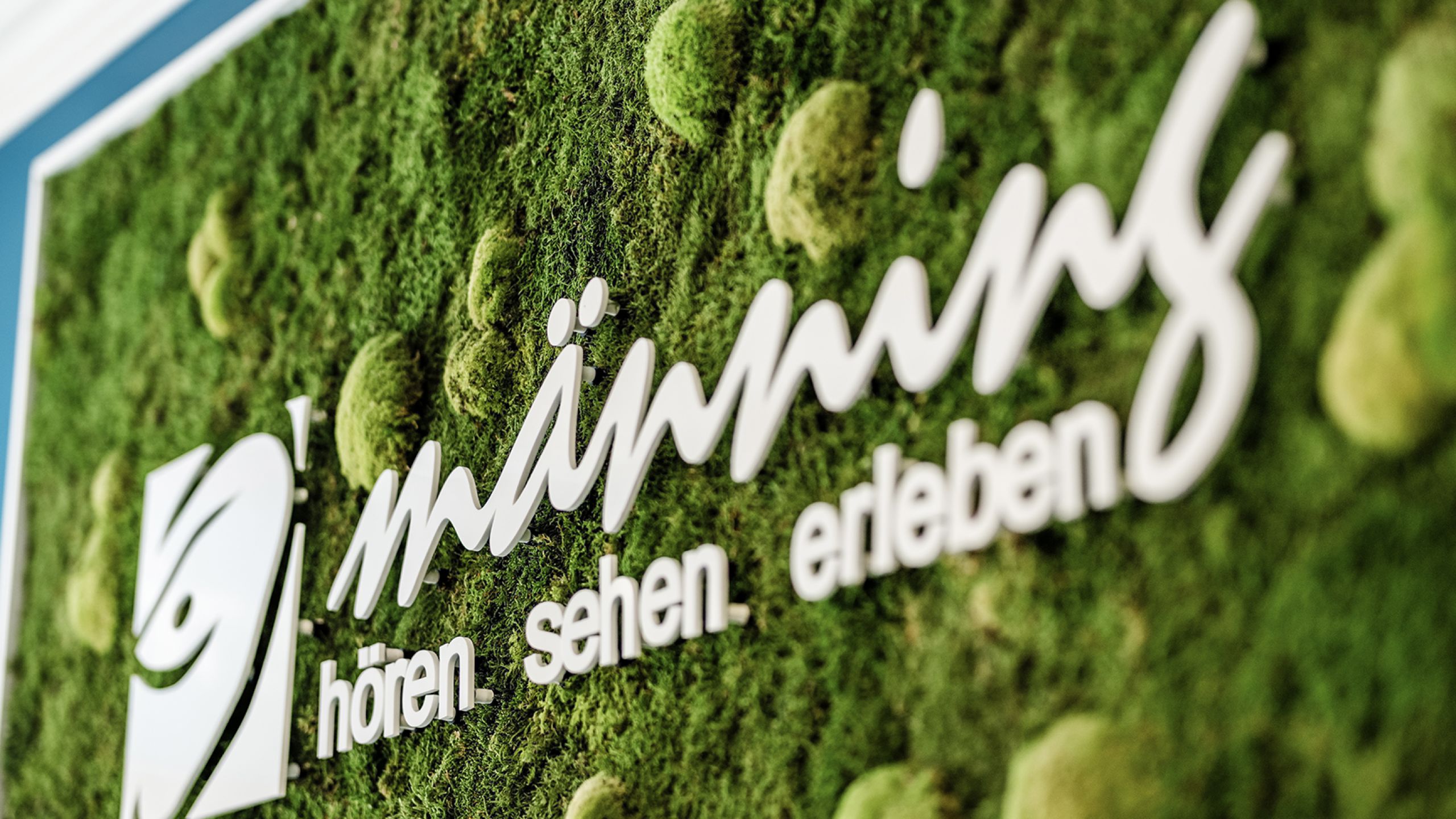 Mooswand im Männing Fachgeschäft Düsseldorf mit weißem Männing-Logo und dem Schriftzug „hören sehen erleben“.